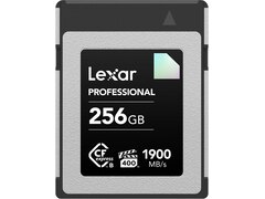 Lexar CFexpress Type B Professional Diamond 256 GB (LCXEXDM256G-RNENG)