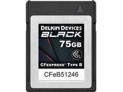 Delkin BLACK CFexpress 75GB Type B Speicherkarte (DCFXBBLK75)
