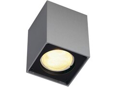 SLV Altra Dice Deckenleuchte, Cl-1, silbergrau/schwarz