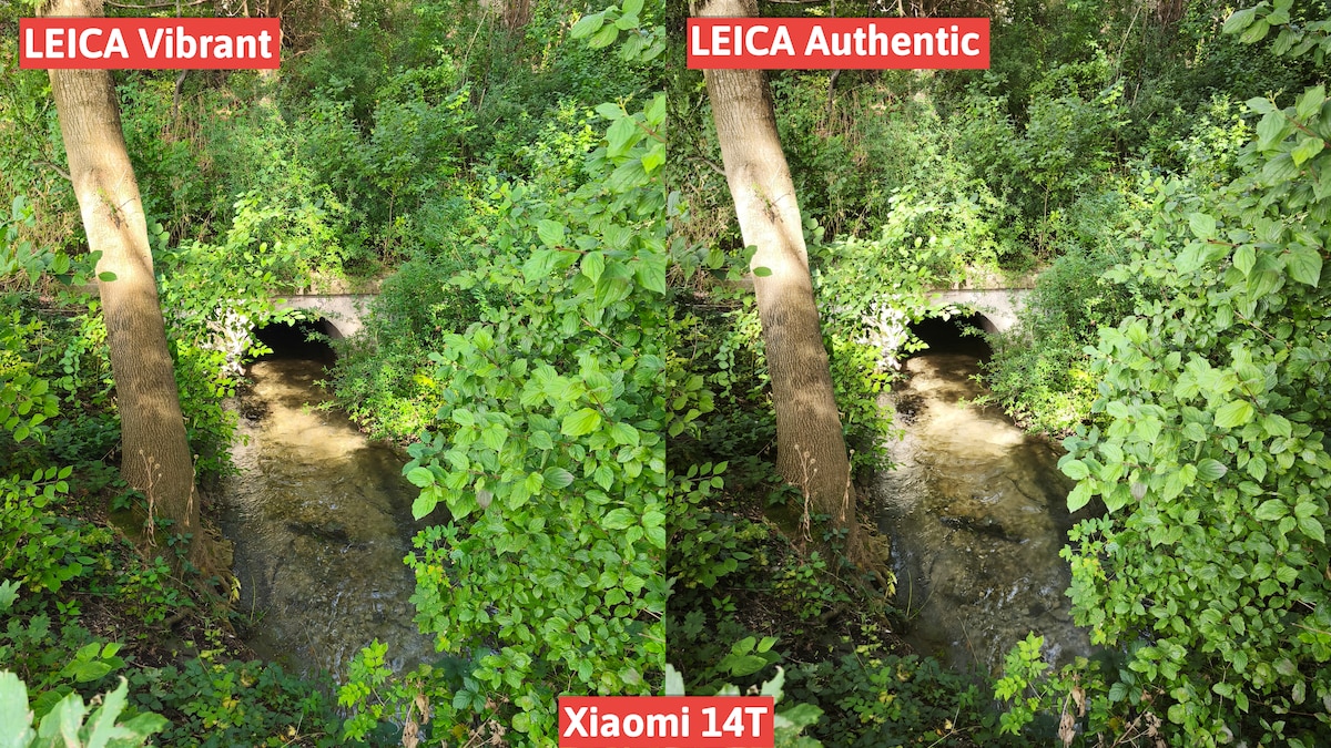 Xiaomi 14T - Bild 8