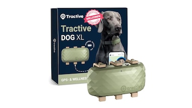 GPS-Tracker fr Hunde im Test 2026: Haustier-Tracker im Vergleich | CHIP GPS-Tracker fr Hunde im Test 2026: Haustier-Tracker im Vergleich | CHIP