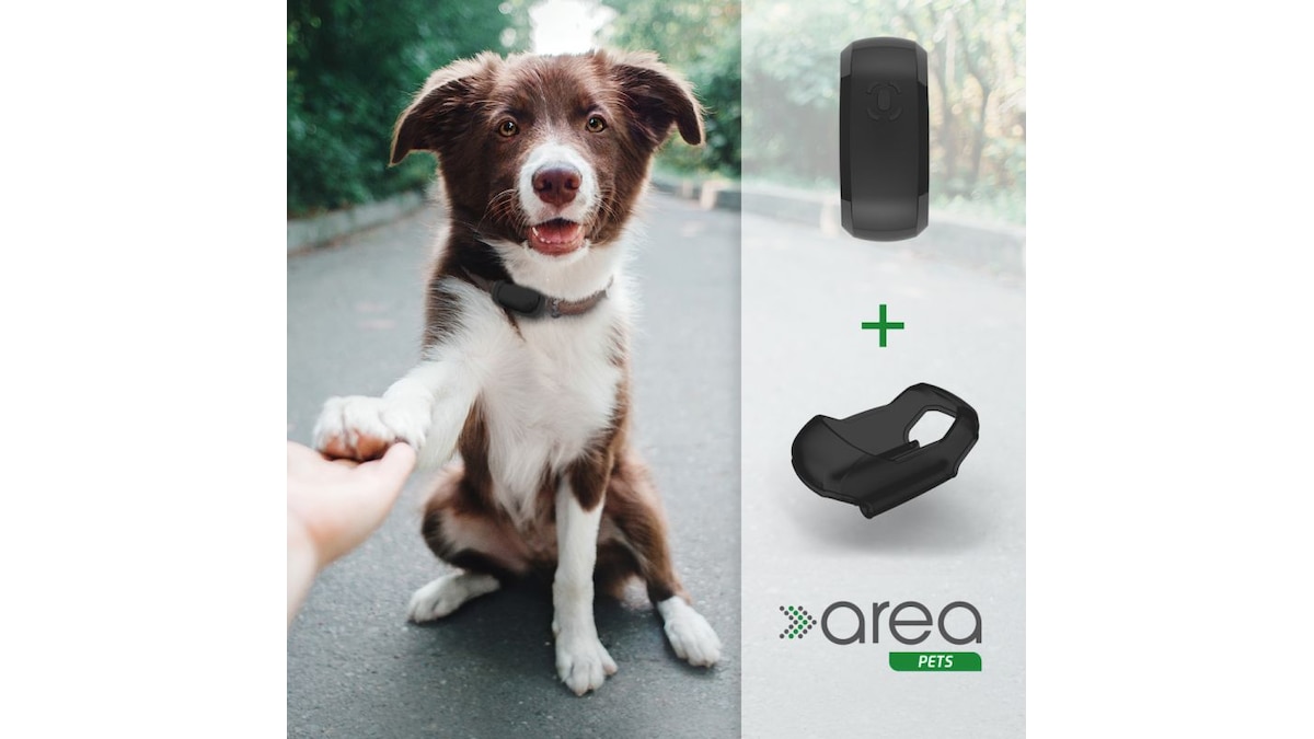 GPS-Tracker fr Hunde im Test 2026: Haustier-Tracker im Vergleich | CHIP GPS-Tracker fr Hunde im Test 2026: Haustier-Tracker im Vergleich | CHIP