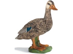 Farm Life 13653 Ente