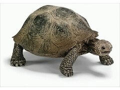 Wild Life 14601 Riesenschildkröte