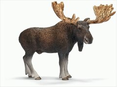 Wild Life 14619  - Elch Bulle