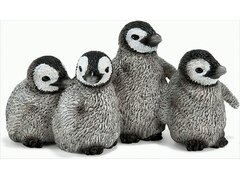 Wild Life 14618  - Kaiserpinguin Jungen