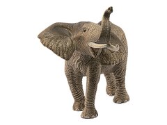 Wild Life Afrikanischer Elefantenbulle - 14762