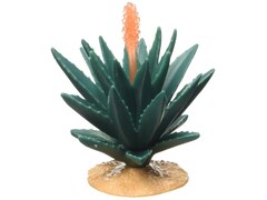 Wild Life Agave - 42243