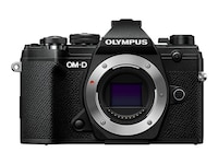 Auf welche Punkte Sie vor dem Kauf der Canon alpha achten sollten!